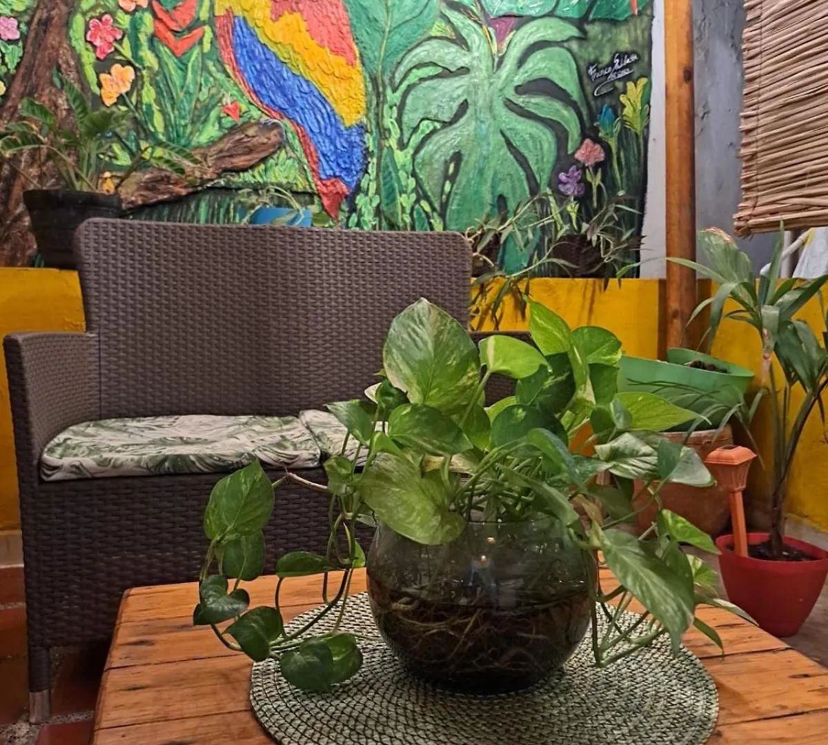 Pensión Hostel Shalom Adonai Cartagena